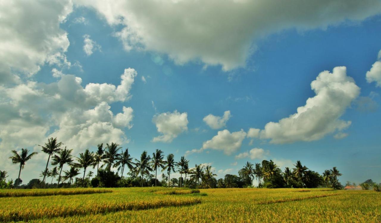 Griya Private Villa Ubud Extérieur photo
