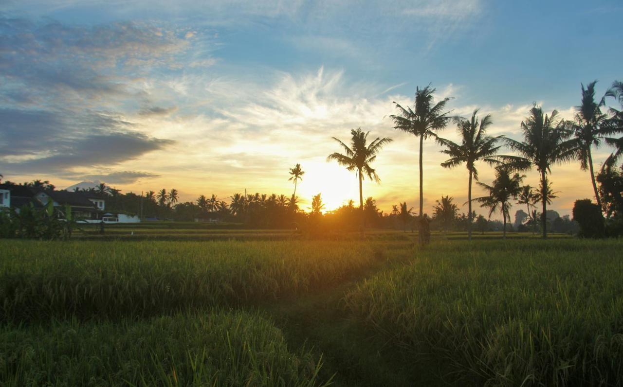 Griya Private Villa Ubud Extérieur photo